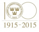 100-logo högupplöst